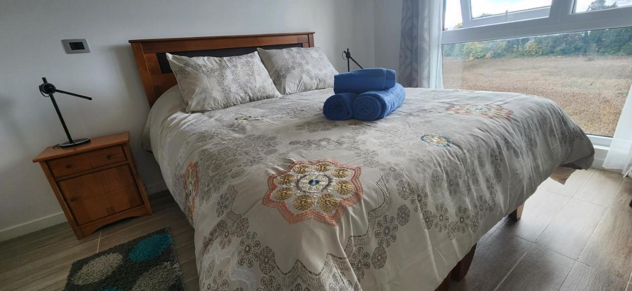 Apartamento Departamento Centro De Valdivia, Laureles 270, Isla Teja *